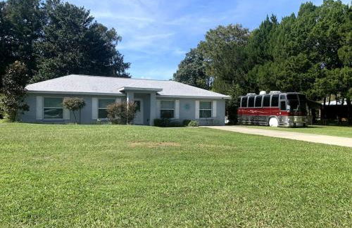 Professor Rousseau's Adventure Oasis - Foto 1