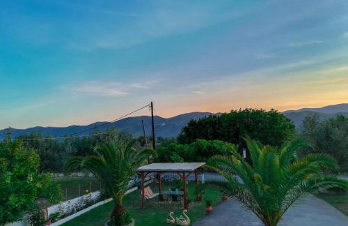 Mιχαλης Apartments - Foto 31