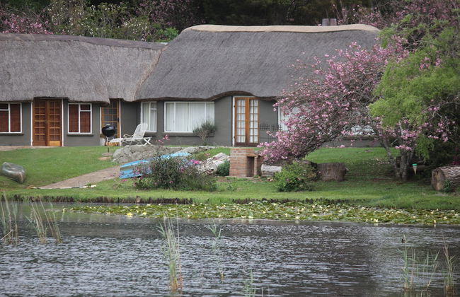 Beacon Vlei Guest Farm - Foto 33