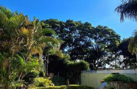 Recanto dos Sonhos - Foto 8