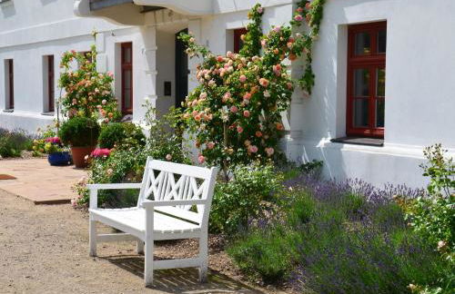 Wohnung nahe Ostsee Kühlungsborn - Foto 2