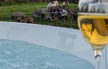 The Shepherds Hut - Foto 13