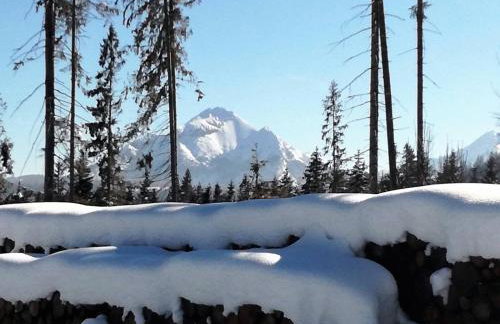 Apartament Górski Potok Murzasichle Apartamenty Murzasichle PL - Foto 72