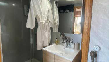 Observatory at South Downs Stay - Foto 2, Shower