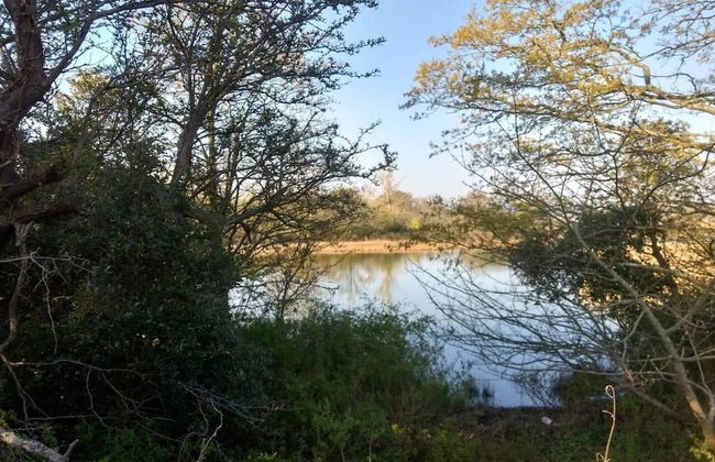 Bembridge Harbour Yurt - Log Burner - Wifi - Foto 15