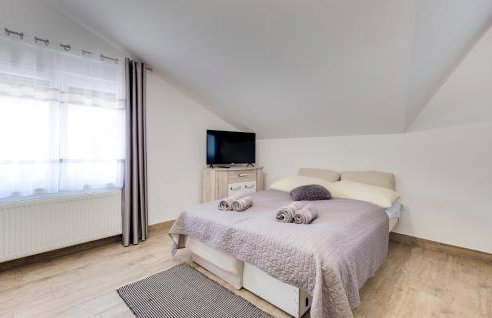 Cozy Home In Tusilovic With Sauna - Foto 27