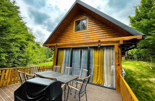 Leśne Zacisze Iwkowa - Photo 1