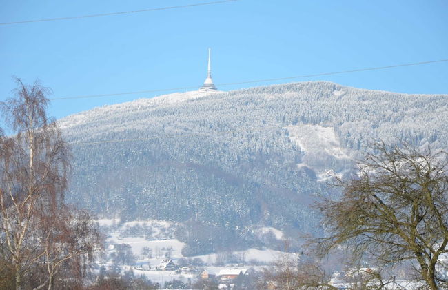 Luxury Villa near Forest in Hlavice Czech Republic - Photo 29