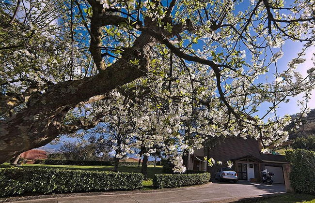 Agriturismo Tenuta del Daino - Photo 40