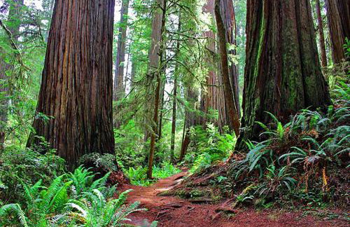 Nantucket Penthouse - walk to restaurants beaches activies & so much more - Foto 39