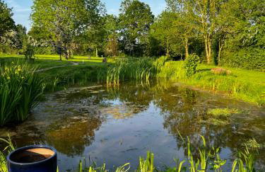 Silver Springs Farm Lodge - Foto 20