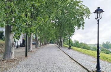 Casa do Cruzeiro - Favaios - Foto 21