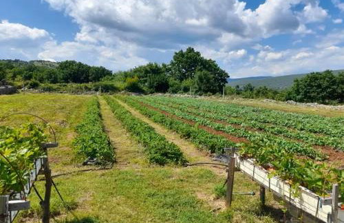 Villa Dola with private pool - Photo 44