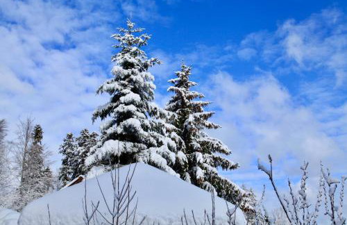 Komfortowy Dom w Chmurach - Foto 44