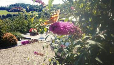 Domek na Brzeziu - Foto 5