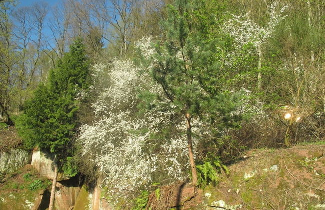 Chez Emil and Isabelle - Foto 18