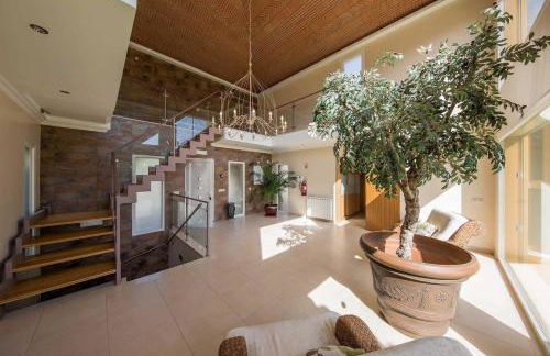 Casa das Oliveiras - OLIVE TREE - Foto 5