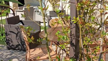 Le charme de Landra - Photo 3