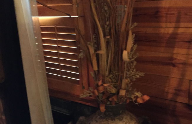 Cherokee mountain log cabin resort - Foto 42