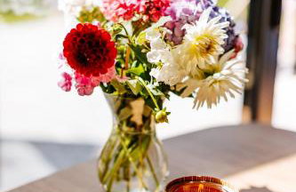 Tarnova Chill - Foto 28