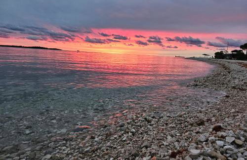 Jlo1 mit beheizbarem Pool - Photo 36