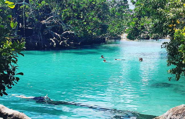 Whispering Palms Vanuatu - Foto 26