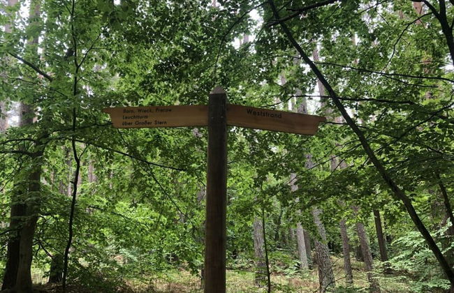 Fabian Comfortable Holiday Residence - Photo 16