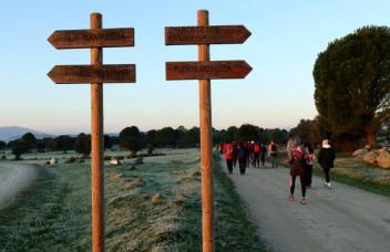 Casa Ypsilon Olive Oil - Photo 19