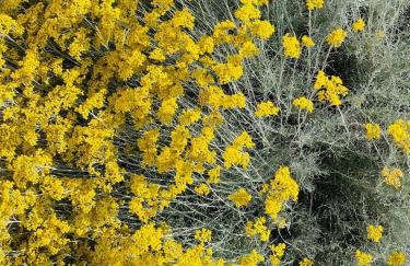 Anapartments - Foto 62