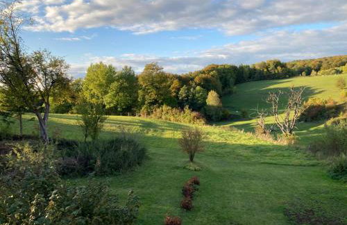 Forsthaus in Waldhessen - Foto 46