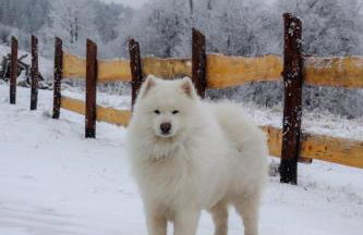 Domek Jak z Obrazka - Foto 4