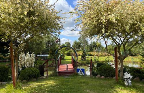 Domki Białogarda - Foto 45