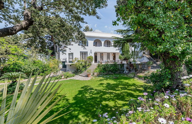 Domaine Maraspar Cassis - Foto 1