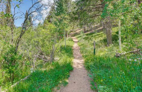 Patio and Hot Tub Cozy Cabin Retreat in Bailey! - Foto 20