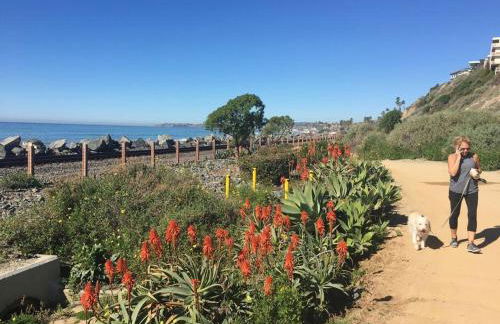 Blue Whale Inn San Clemente Retreat Unit E - Foto 43