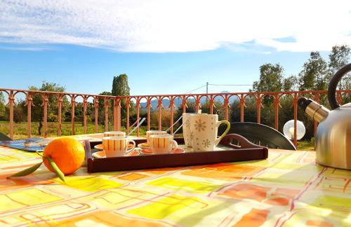 Agriturismo Chiai Francesco - Foto 33