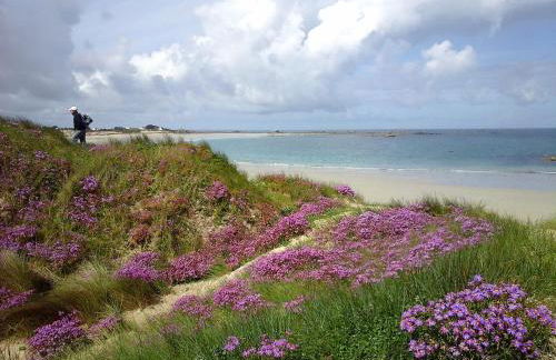 La grange aux lièvres, gîtes Kerdoel - Foto 34