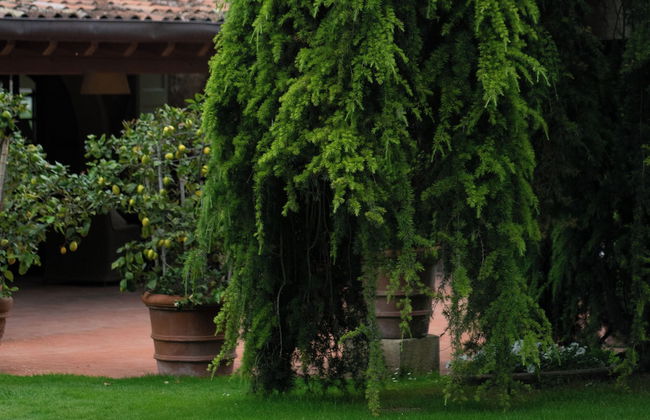 La Magioca - Photo 54