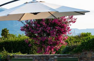 NEW Villa Tosca - Foto 45