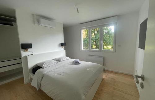 Olivier du ciel ODC - Photo 22