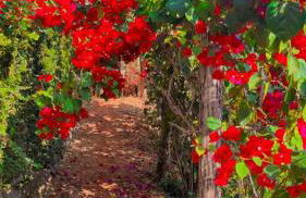 Casa Mirante da Serra em Tiradentes - MG - Foto 10