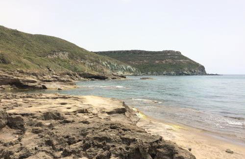 Il Nespolo - Foto 43