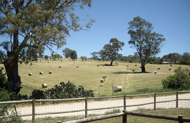 1860 Wine Country Cottages - Photo 27