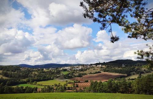 Grande grange atypique proche des Gorges du Tarn - Foto 35