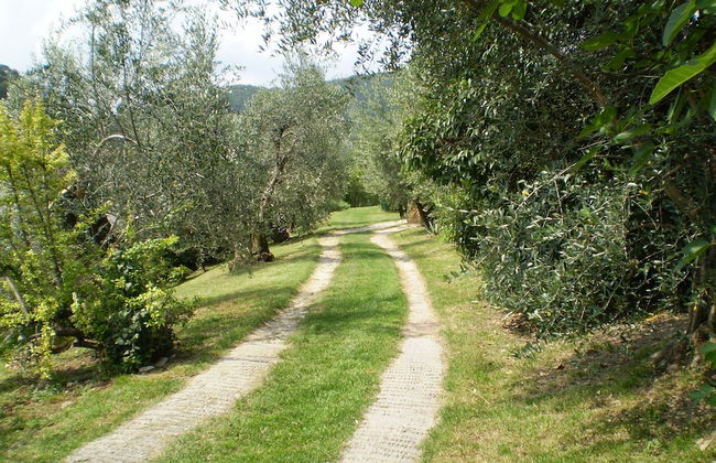 Agriturismo Renzano Garden Apartments - Foto 24
