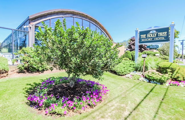 Holly Tree Resort - Foto 21