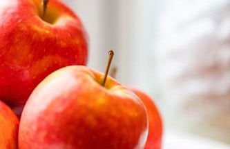 Cottage Apartment - Foto 16