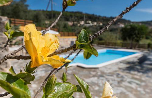 Dekem Residence - Foto 7