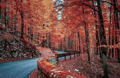 Li Ri Apartment Style - Foto 43