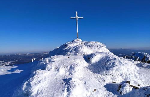 Apratmán Julie – Bavorská Ruda - Foto 42